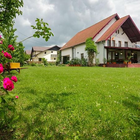 Casa Florilor Hotel Curtea de Argeş Esterno foto
