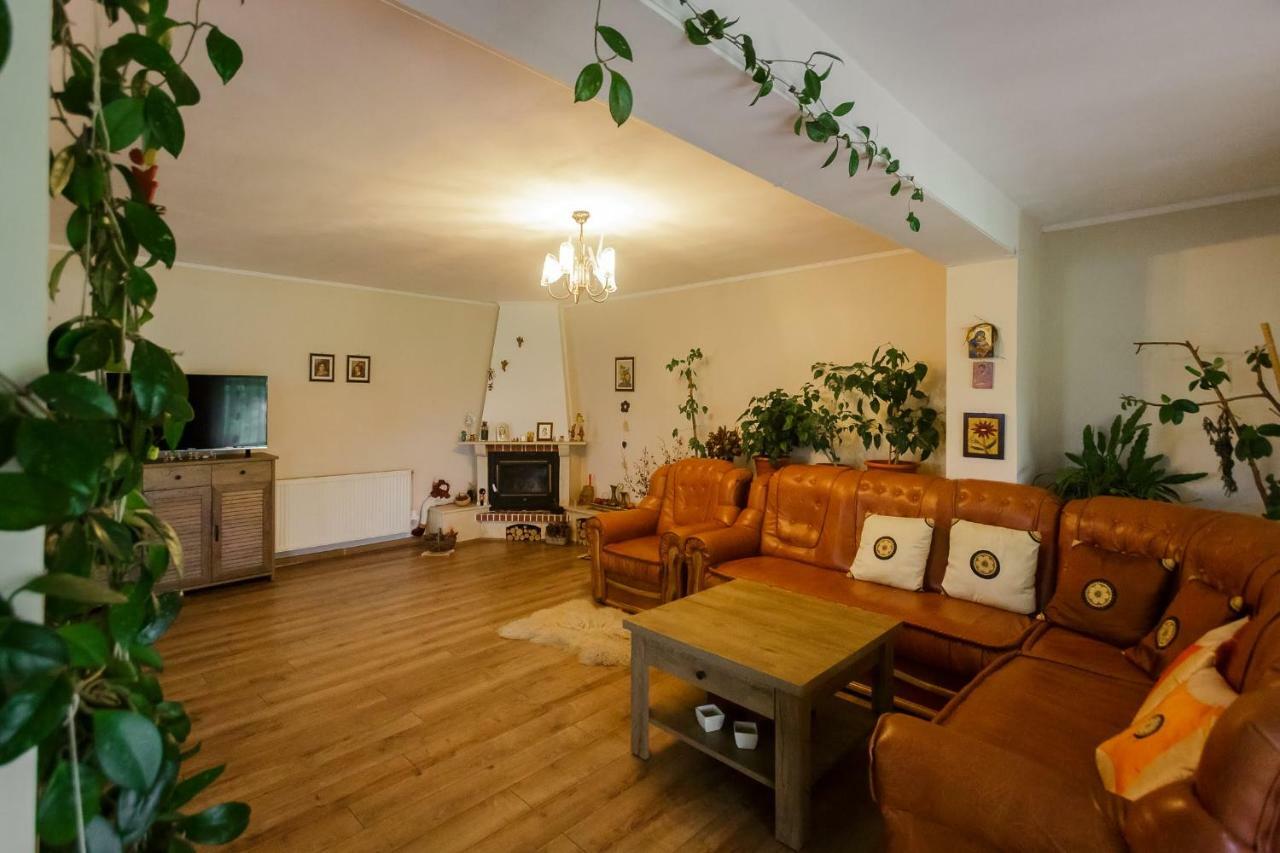 Casa Florilor Hotel Curtea de Argeş Esterno foto