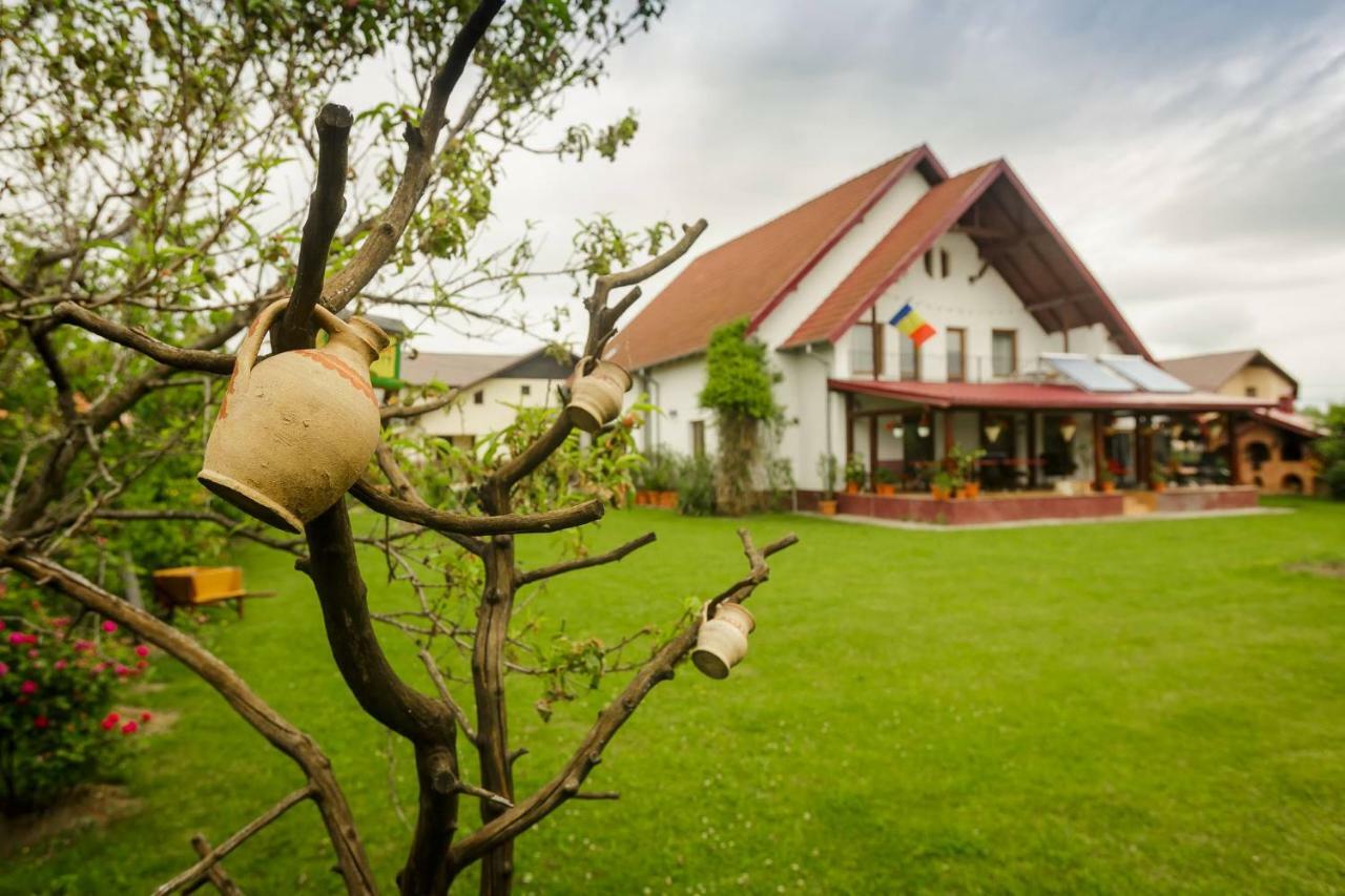 Casa Florilor Hotel Curtea de Argeş Esterno foto