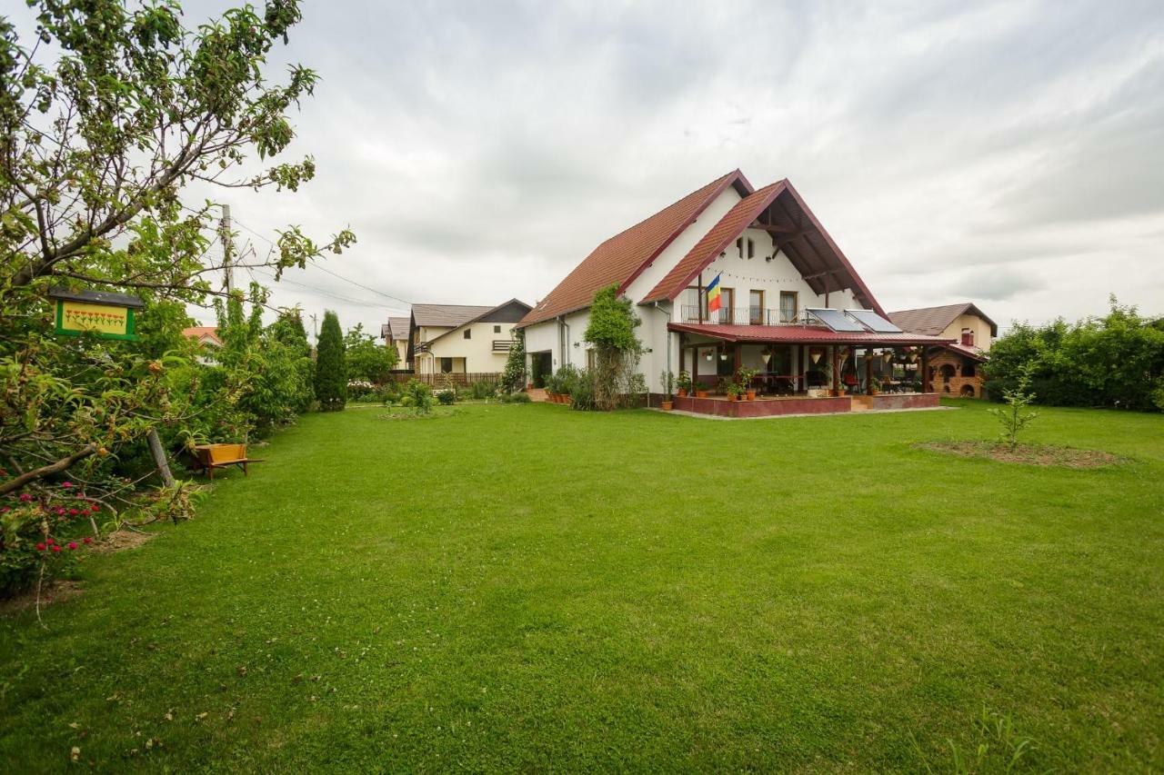 Casa Florilor Hotel Curtea de Argeş Esterno foto