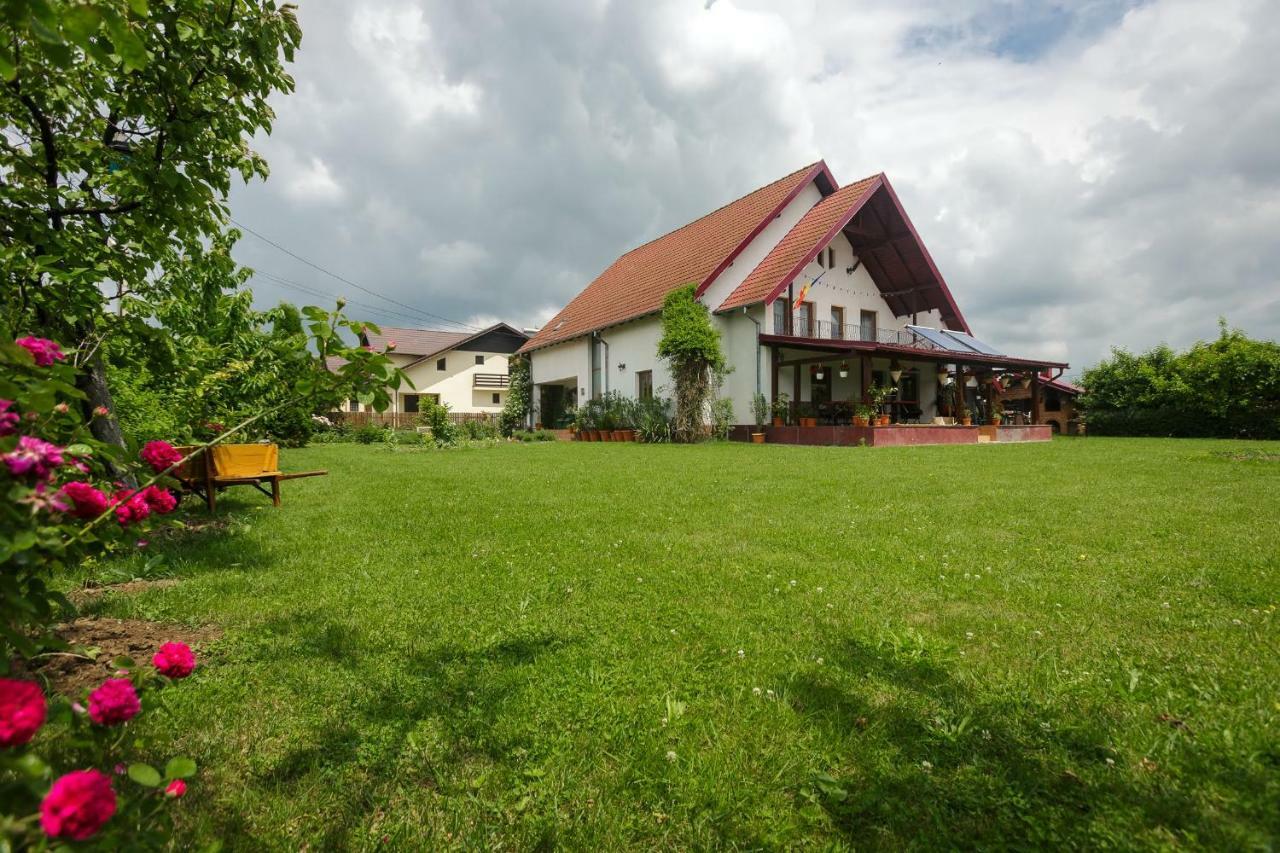 Casa Florilor Hotel Curtea de Argeş Esterno foto